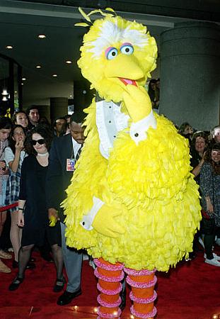 Click image for larger version. 

Name:	bigbird.jpg 
Views:	0 
Size:	46.8 KB 
ID:	10704