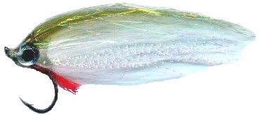 Click image for larger version. 

Name:	PolarMinnow.jpg 
Views:	21 
Size:	14.3 KB 
ID:	11761