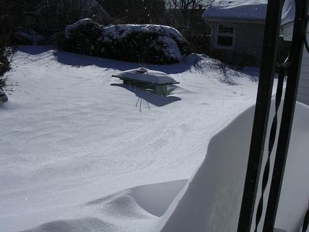 Click image for larger version. 

Name:	blizzard 2010 034.jpg 
Views:	2 
Size:	63.4 KB 
ID:	12897