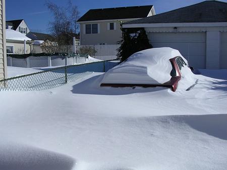 Click image for larger version. 

Name:	blizzard 2010 036.jpg 
Views:	2 
Size:	64.7 KB 
ID:	12908