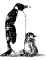 Click image for larger version. 

Name:	penguin.gif 
Views:	30 
Size:	12.0 KB 
ID:	13277