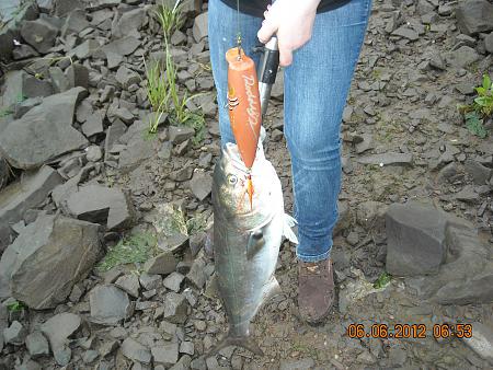 Click image for larger version. 

Name:	anglers pix-001 793.jpg 
Views:	2 
Size:	87.8 KB 
ID:	15462
