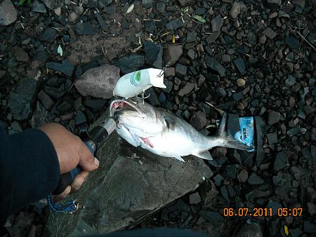 Click image for larger version. 

Name:	anglers pix-001 640.jpg 
Views:	2 
Size:	87.5 KB 
ID:	15468
