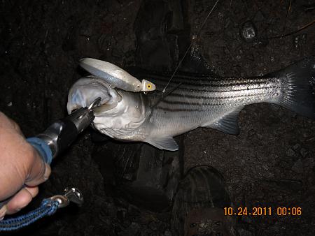 Click image for larger version. 

Name:	anglers pix-001 675.jpg 
Views:	1 
Size:	74.1 KB 
ID:	15470