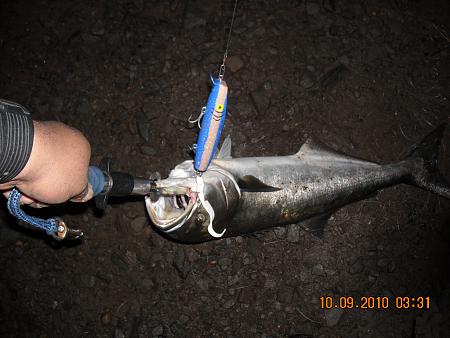 Click image for larger version. 

Name:	anglers pix-001 529.jpg 
Views:	2 
Size:	73.3 KB 
ID:	15474
