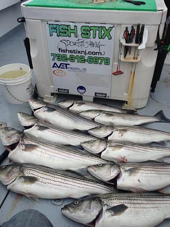 Click image for larger version. 

Name:	4 fishstix 5-9  limit ++ over 20lbs.jpg 
Views:	1 
Size:	36.3 KB 
ID:	18273