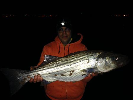 Click image for larger version. 

Name:	4-21-14  tcb bunker bass 25 lb class.jpg 
Views:	1 
Size:	34.5 KB 
ID:	18480