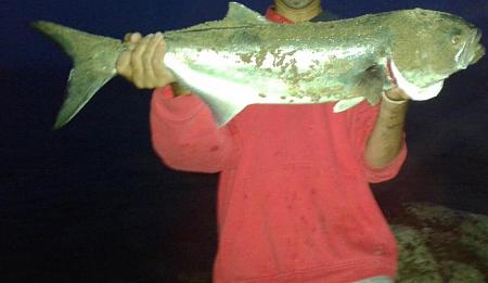 Click image for larger version. 

Name:	5-20-14 high teen bluefish NJ cropped.jpg 
Views:	3 
Size:	27.8 KB 
ID:	18483