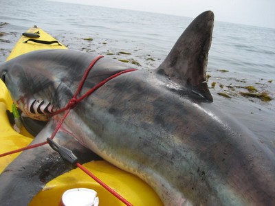 What a catch on a kayak.jpg