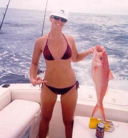 Click image for larger version. 

Name:	queen snapper.jpg 
Views:	1 
Size:	58.5 KB 
ID:	9114