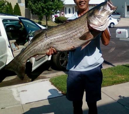 Click image for larger version. 

Name:	july 2010 bass rockaways 50.jpg 
Views:	27 
Size:	54.7 KB 
ID:	11790