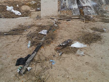 Click image for larger version. 

Name:	beach mess.jpg 
Views:	1 
Size:	32.0 KB 
ID:	18340