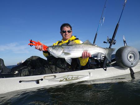 Click image for larger version. 

Name:	11-25-11 msg mb 20lb bass.jpg 
Views:	3 
Size:	35.6 KB 
ID:	14422