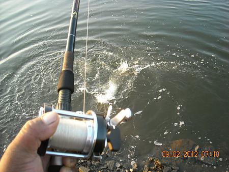 Click image for larger version. 

Name:	Heavy-Hooksetter action pix 824.jpg 
Views:	1 
Size:	86.7 KB 
ID:	15620