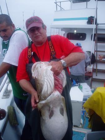 Click image for larger version. 

Name:	eastmans 24lbs cod.jpg 
Views:	13 
Size:	31.9 KB 
ID:	11465