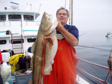 Click image for larger version. 

Name:	eastmans 54lbs cod.jpg 
Views:	12 
Size:	40.1 KB 
ID:	11467