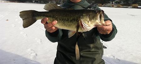 Click image for larger version. 

Name:	lk hopatcong lunker bass 2-1-14.jpg 
Views:	4 
Size:	30.0 KB 
ID:	17925