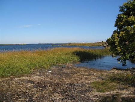 Click image for larger version. 

Name:	PlumIsland.jpg 
Views:	0 
Size:	54.6 KB 
ID:	4151