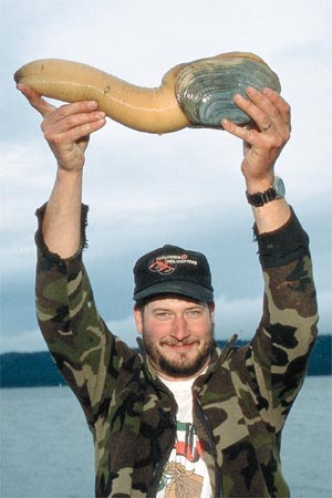 Click image for larger version. 

Name:	geoduck.jpg 
Views:	26 
Size:	29.9 KB 
ID:	10312