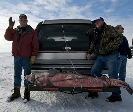 Click image for larger version. 

Name:	212lb sturgeon wisconsin.jpg 
Views:	1 
Size:	50.3 KB 
ID:	10024