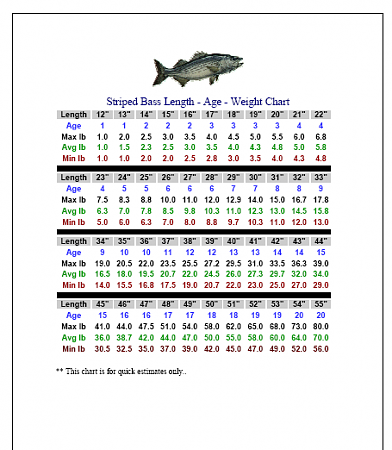striped bass weight and length chart.png