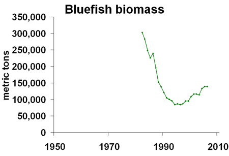 Click image for larger version. 

Name:	bluefish_chart_bio.gif 
Views:	145 
Size:	13.0 KB 
ID:	6230