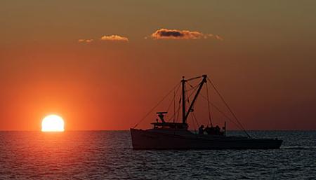 Click image for larger version. 

Name:	Chesapeake sunset.jpg 
Views:	0 
Size:	16.8 KB 
ID:	4686