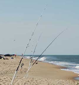 Click image for larger version. 

Name:	fishing.jpg 
Views:	5 
Size:	50.9 KB 
ID:	4688