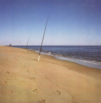 Click image for larger version. 

Name:	plum island beach.jpg 
Views:	7 
Size:	31.5 KB 
ID:	4143