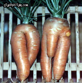 anatomically_carrot.jpg