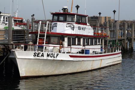 Click image for larger version. 

Name:	sea wolf.jpg 
Views:	24 
Size:	40.9 KB 
ID:	12883