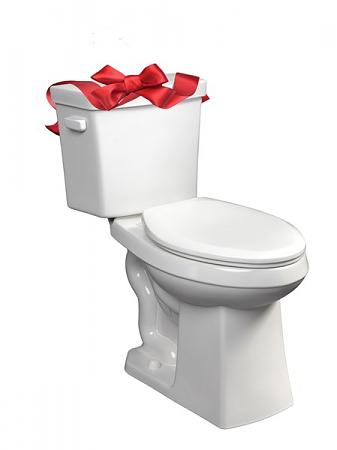 Click image for larger version. 

Name:	Toilet_with_bow.jpg 
Views:	1 
Size:	23.0 KB 
ID:	18087