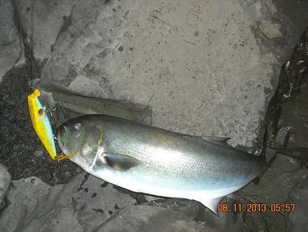 Click image for larger version. 

Name:	H-H fishy stuff pix 043.jpg 
Views:	3 
Size:	75.0 KB 
ID:	17490