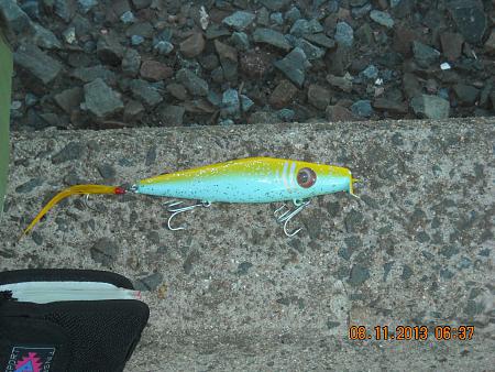 Click image for larger version. 

Name:	H-H fishy stuff pix 045.jpg 
Views:	1 
Size:	78.3 KB 
ID:	17492
