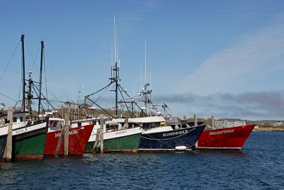 Click image for larger version. 

Name:	montauk-fishing-fleet.jpg 
Views:	35 
Size:	23.5 KB 
ID:	11817