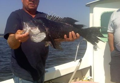 Click image for larger version. 

Name:	7 lb seabass 8-7-10.jpg 
Views:	29 
Size:	29.7 KB 
ID:	11899