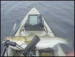 Click image for larger version. 

Name:	kayak_fishing.jpg 
Views:	33 
Size:	9.4 KB 
ID:	3911