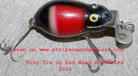 Click image for larger version. 

Name:	Tiny Tim in Red Wing Blackbird.jpg 
Views:	0 
Size:	70.1 KB 
ID:	4403