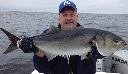 Click image for larger version. 

Name:	monster bluefish.jpg 
Views:	1 
Size:	52.0 KB 
ID:	17073