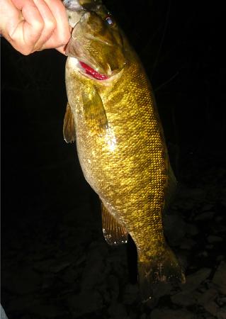 Click image for larger version. 

Name:	walleye 10-5b.jpg 
Views:	0 
Size:	32.8 KB 
ID:	21228