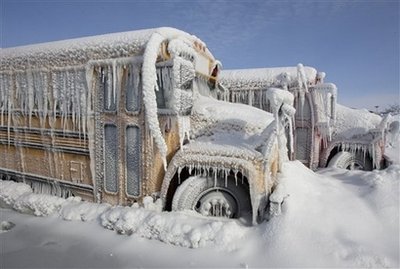 Click image for larger version. 

Name:	buses frozen.jpg 
Views:	53 
Size:	27.7 KB 
ID:	9097