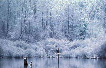 Click image for larger version. 

Name:	Winter-Reflections.jpg 
Views:	42 
Size:	20.7 KB 
ID:	9254