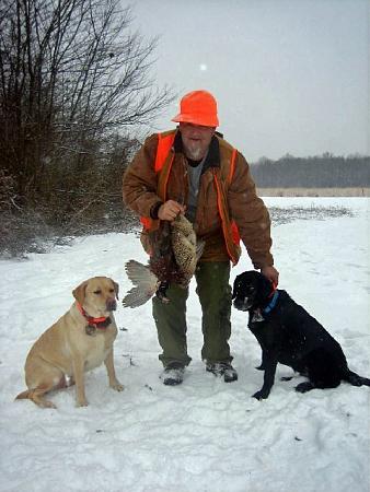 Click image for larger version. 

Name:	pheasants 1-8 pic4.jpg 
Views:	2 
Size:	71.0 KB 
ID:	12998