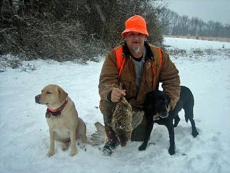Click image for larger version. 

Name:	pheasants 1-8 pic1.jpg 
Views:	3 
Size:	49.4 KB 
ID:	12996