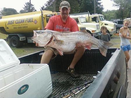 Click image for larger version. 

Name:	81.88 lb world record ct striper 8-5-11 greg myerson.jpg 
Views:	2 
Size:	48.9 KB 
ID:	13869