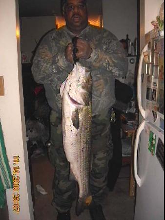 Click image for larger version. 

Name:	11-14-10  26lb bass RP.jpg 
Views:	1 
Size:	34.7 KB 
ID:	12764