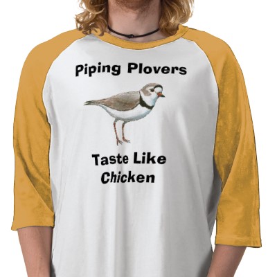 piping_plovers_taste_like_chicken_tshirt-p235484376658383702gag7_400.jpg