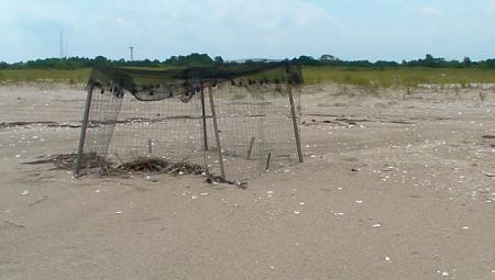 Click image for larger version. 

Name:	7-31-09 Sandy Hook empty plover cage.jpg 
Views:	2 
Size:	52.5 KB 
ID:	7392