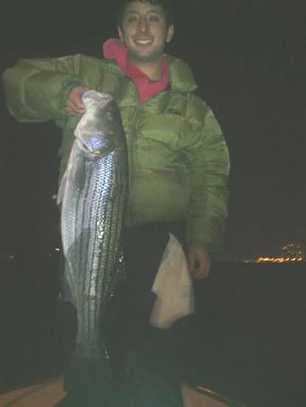 Click image for larger version. 

Name:	ss bass herring chunks.jpg 
Views:	1 
Size:	23.4 KB 
ID:	16043