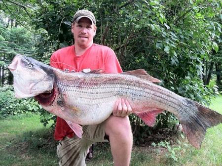 Click image for larger version. 

Name:	81 new world record striped bass.jpg 
Views:	2 
Size:	61.8 KB 
ID:	13870